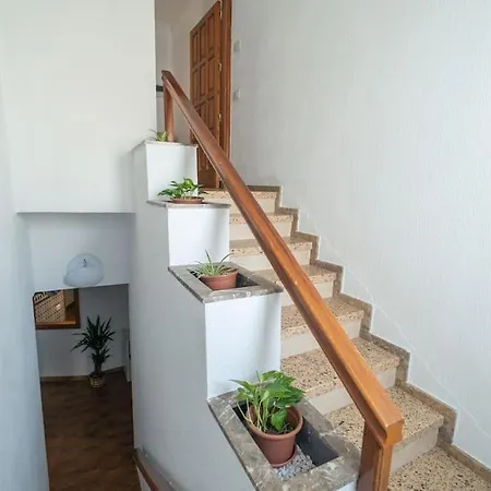 Un Lugar House San Telmo -coliving בית אירוח לאס פאלמס דה גראן קנאריה